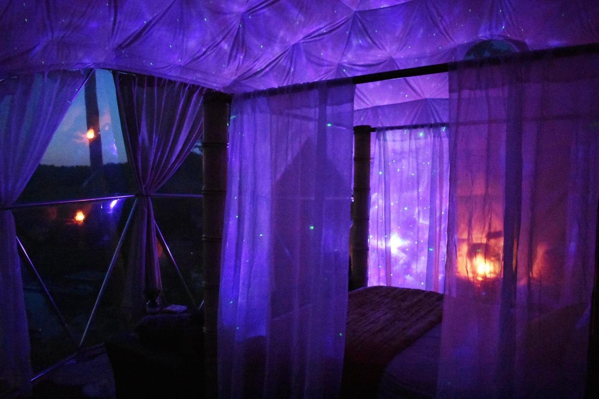 Waterfront Luxury Glamping Dome 호텔 Rogersville 외부 사진